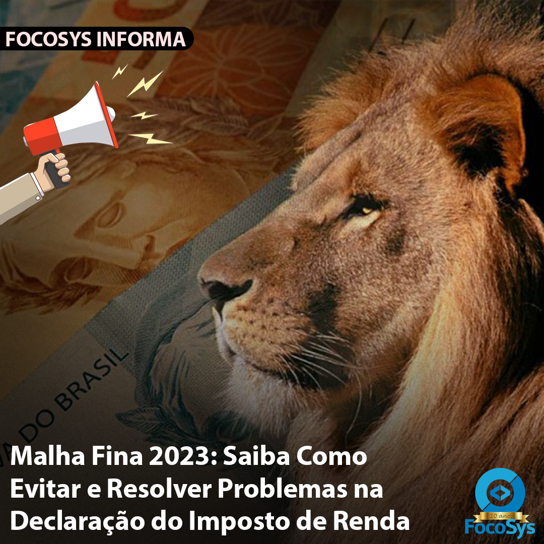 Malha Fina 2023 Saiba Como Evitar E Resolver Problemas Na Declaração Do Imposto De Renda Blog 1673